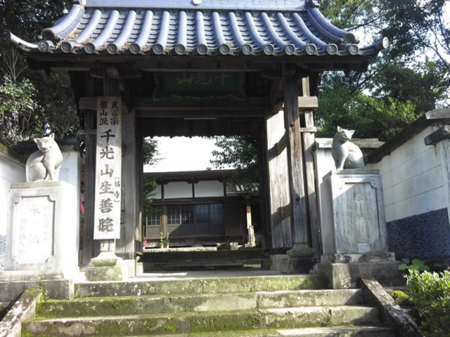 񂳂̐P@ωiLj̓eʐ^1