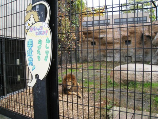 ���R������