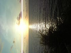 dolphin:r̖тւ̓eʐ^1