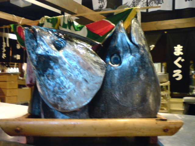 �����s��