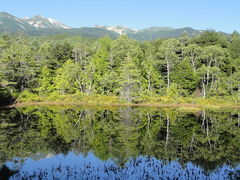 É݂̂}[N̋rւ̓eʐ^1