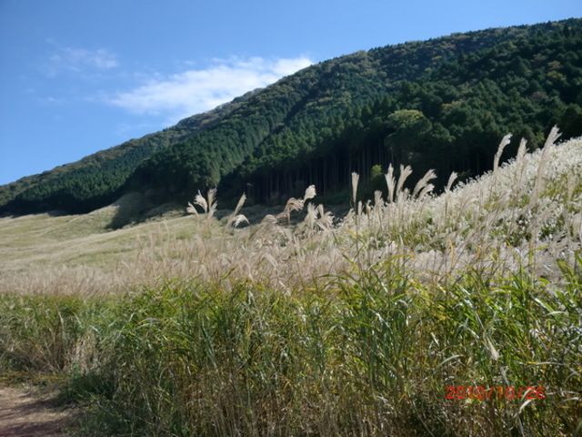 ��Ό�����