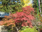 䂤񂿂񂳂̑嚠̓eʐ^1