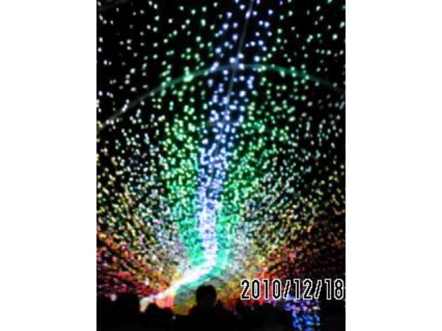 �����h�C�c��