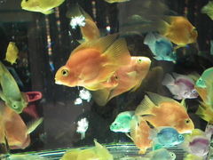 Ƃ̂P̃ANAVeBւ̓eʐ^1