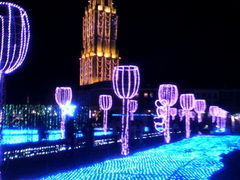 �n�E�X�e���{�X�̎ʐ^1