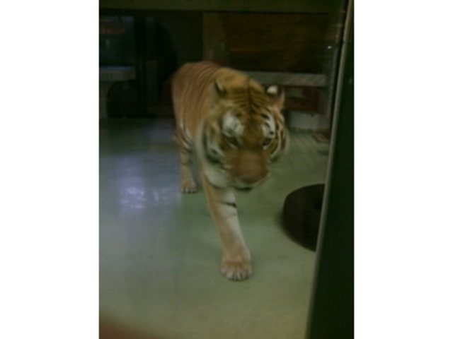 �~�R������