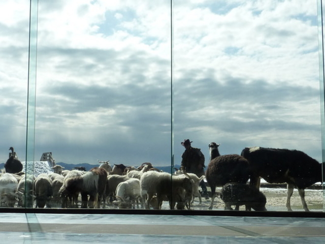 �}�U�[�q��