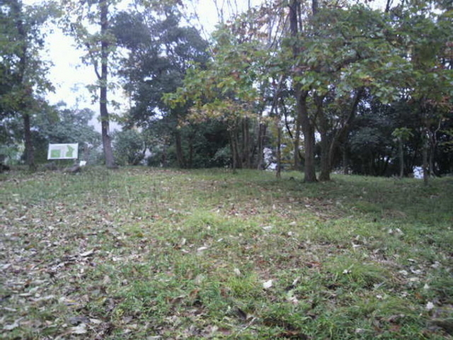 傤񂳂̏㌎Ղ̓eʐ^1