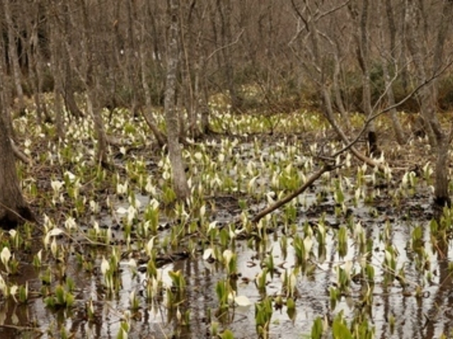 luK[̗^̐mԌQnV̓eʐ^1