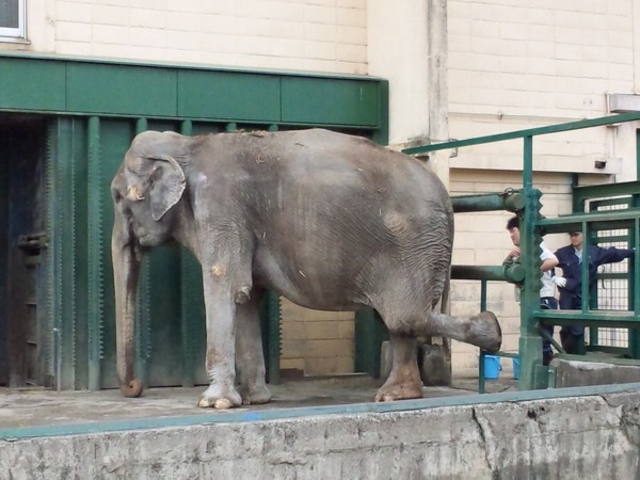 ���тЂ듮����