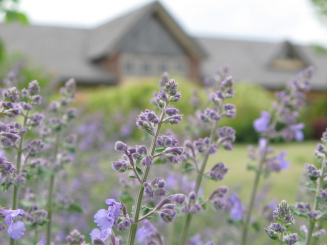 ����_�ƌ����x���t�@�[��