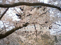 �O�O��̎ʐ^1