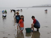 tada̐ԕ䓂DTr[`̓eʐ^1