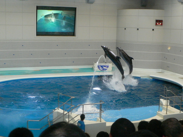 �������[���h�������ܐ�����