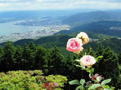 mãK[f~[WAbւ̓eʐ^1