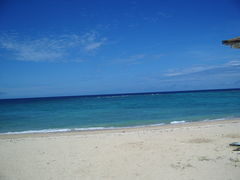 т̃IEUEr[`@[ւ̓eʐ^1