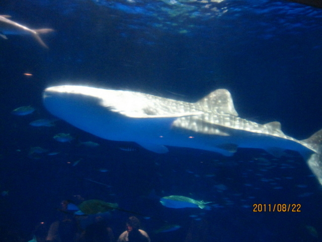 �������[���h�������ܐ�����