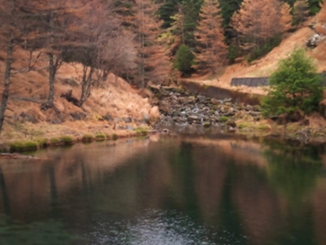 �����ȉ���