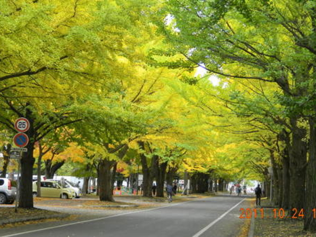 �k��C�`���E����