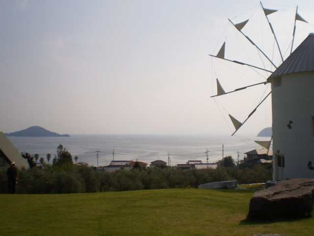 �I���[�u��