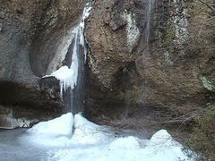 ݂񂮂݂₿搶̌҂݂̑ւ̓eʐ^1