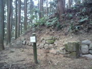 傤񂳂̉GRՂ̓eʐ^1