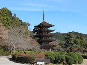 [Z̐Ռp̍ڗ܏d̓eʐ^1