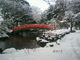 ラリマーさんの富山城址公園の投稿写真1