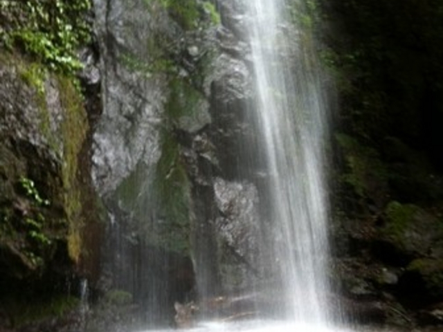 ҂傳̔_̑Ȇ̓eʐ^1