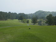 maneki̐{Jg[Nu̓eʐ^1