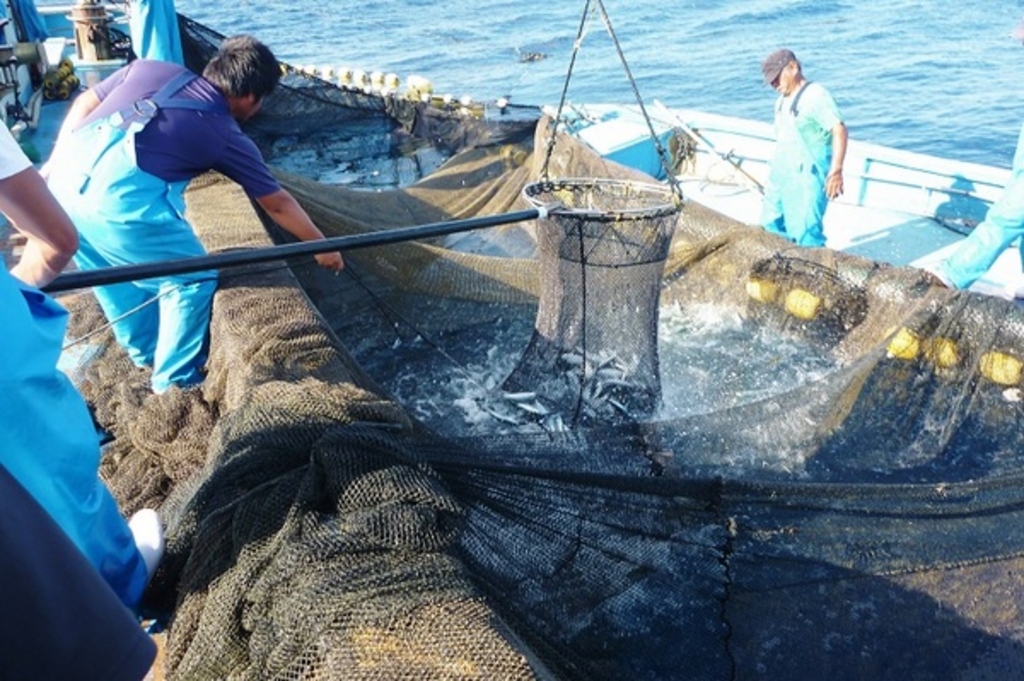 金城次郎 漁形箸置き 2個セット 金城次郎作 お魚の箸置き | 熱い