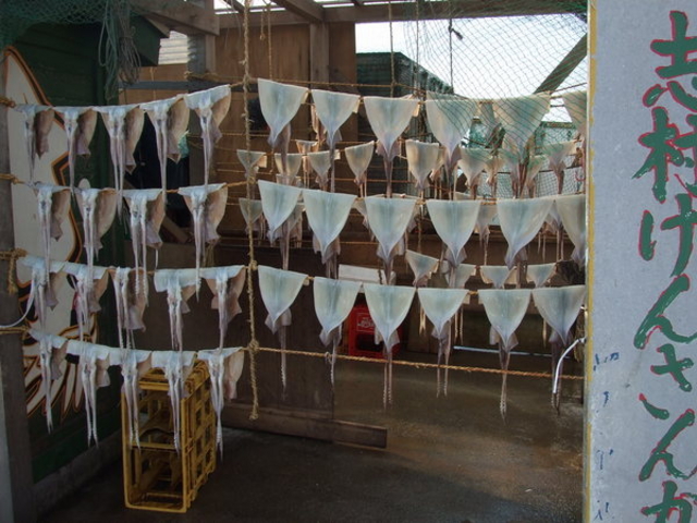 �Ă��C�J�ʂ�u�C�J�̃J�[�e���v