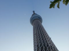 yooooko̓\}`ւ̓eʐ^1