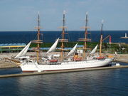 kazumiringo̊Cۃp[N̓eʐ^1