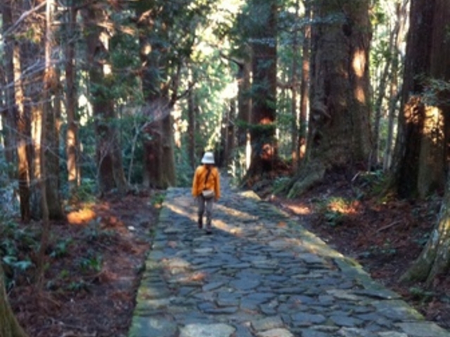 �F��Ó��@����