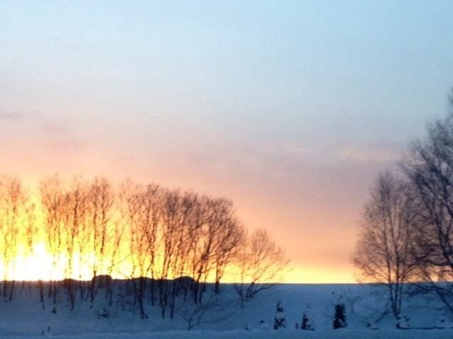 �т�����������ό��g��