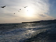 ܂񂳂̉c`߂VD̓eʐ^1