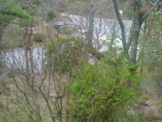 �Ԋ�����@�z�e���Ԋ�