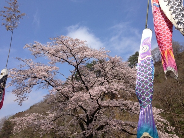 �Ǖ@�k�E�M����