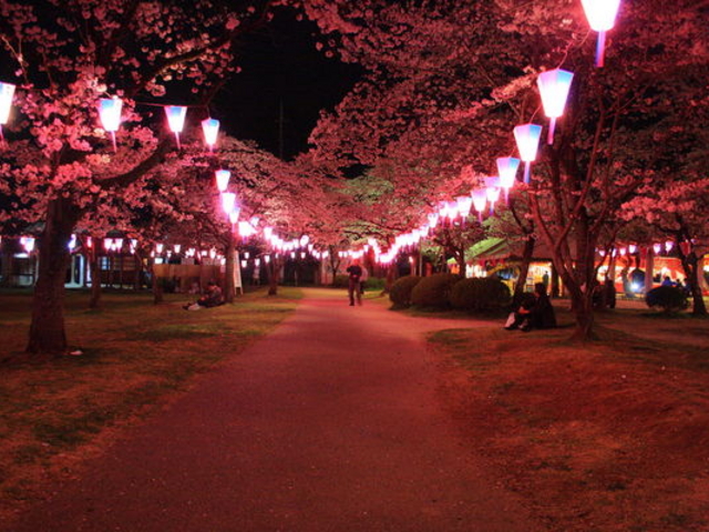 中央公園の桜 天覧山の麓 アクセス 営業時間 料金情報 じゃらんnet