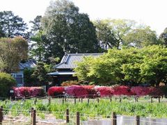 manekiさんの旧秋元別邸（つつじが岡第二公園）の投稿写真1