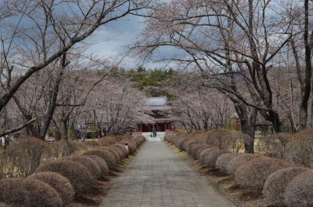 蓼科山聖光寺の桜 アクセス 営業時間 料金情報 じゃらんnet