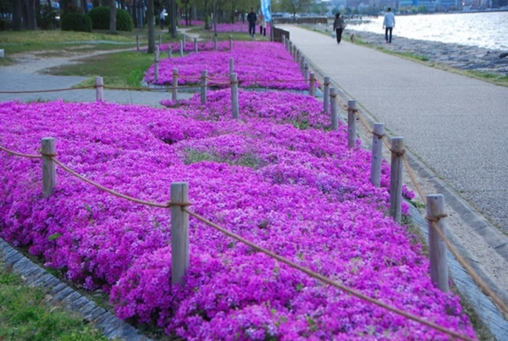 滋賀の動物園 植物園ランキングtop10 じゃらんnet