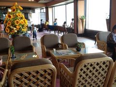 T`R̐Ԕze C慘Lւ̓eʐ^1