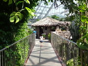 ǁ[̎ዷ͂܃Gǂǂ̓eʐ^1