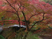 ݂̈ɍۉ̐ΒiX̓eʐ^1