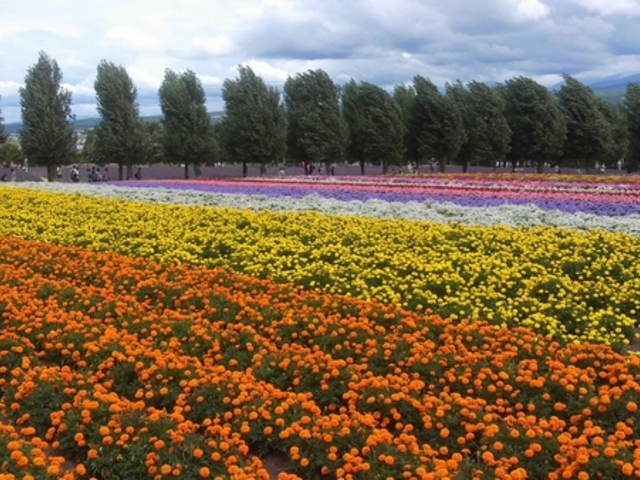 ���x���_�[��