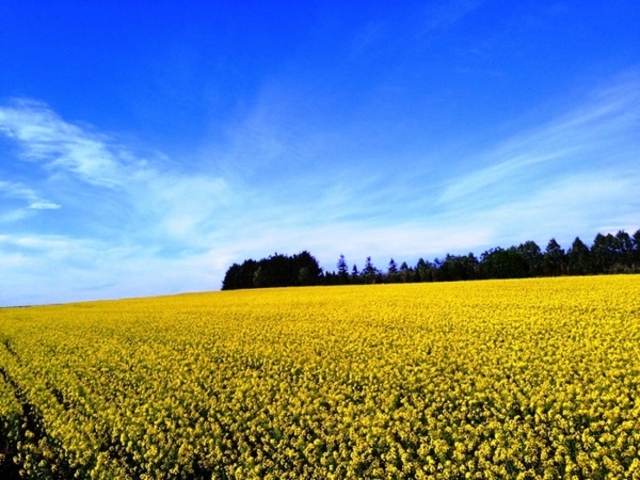 ���̉w�@��������