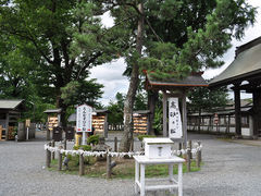 もんぱんさんの阿蘇神社（熊本県阿蘇市）への投稿写真1
